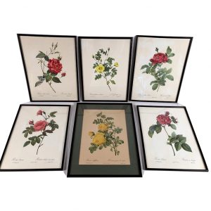 reproductions-roses-redoute