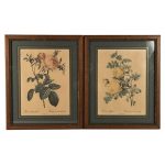 reproductions-roses-redoute