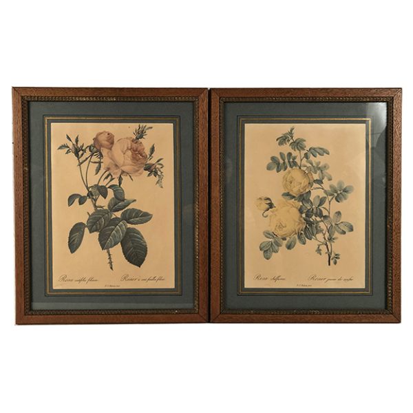 reproductions-roses-redoute
