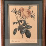 Deux reproductions encadrées de roses, illustrations de P.J Redouté – Image 3